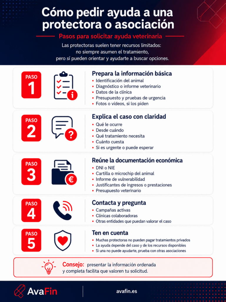 Infografía con cinco pasos para pedir ayuda a una protectora o asociación: preparar la información básica del animal, explicar el caso con claridad, reunir la documentación económica, contactar con campañas o clínicas colaboradoras y tener en cuenta que la ayuda depende de cada caso y de los recursos disponibles.
